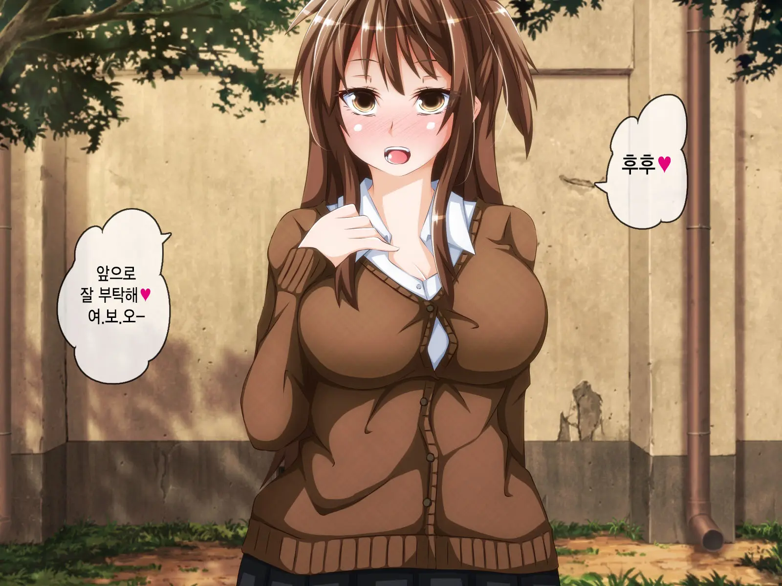 Anata No Kanojo... Netoraretemasen Ka? Kouhen | 당신의 여자친구 네토라레당하지 않으셨나요? 후편